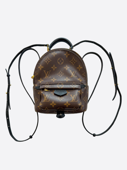 Louis Vuitton Brown Monogram Palm Springs Mini