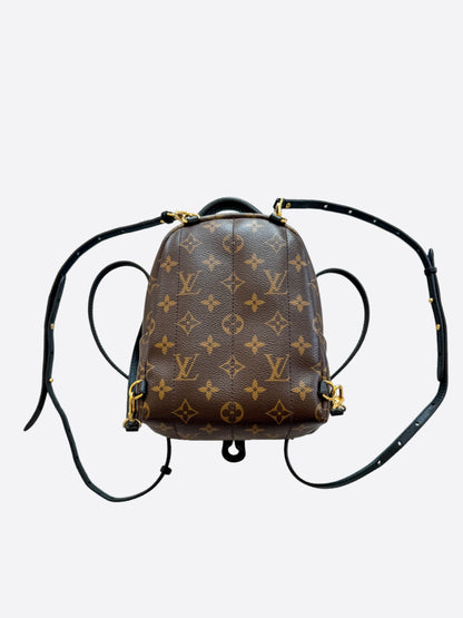 Louis Vuitton Brown Monogram Palm Springs Mini