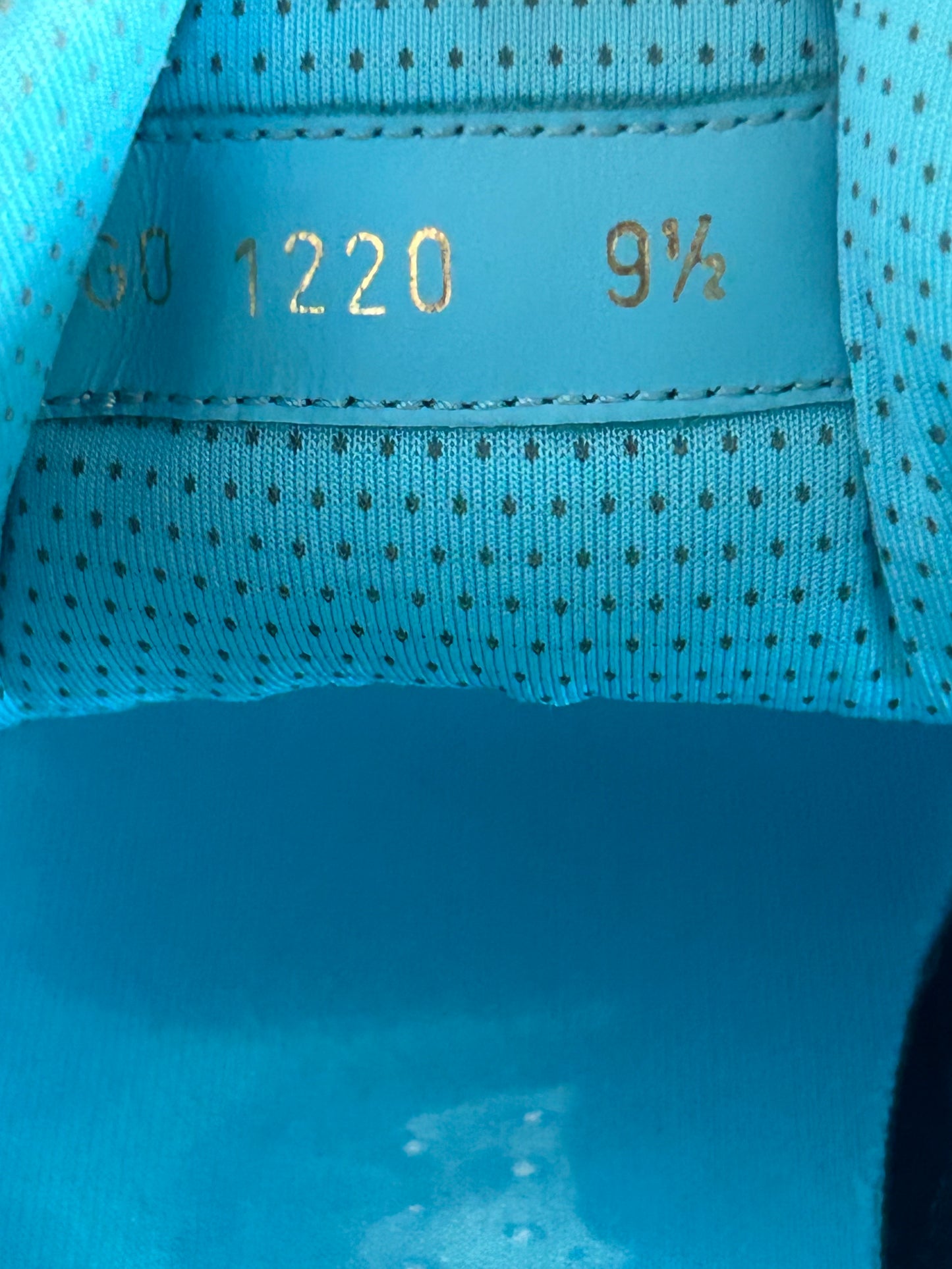 Louis Vuitton Blue Transparent Trainers