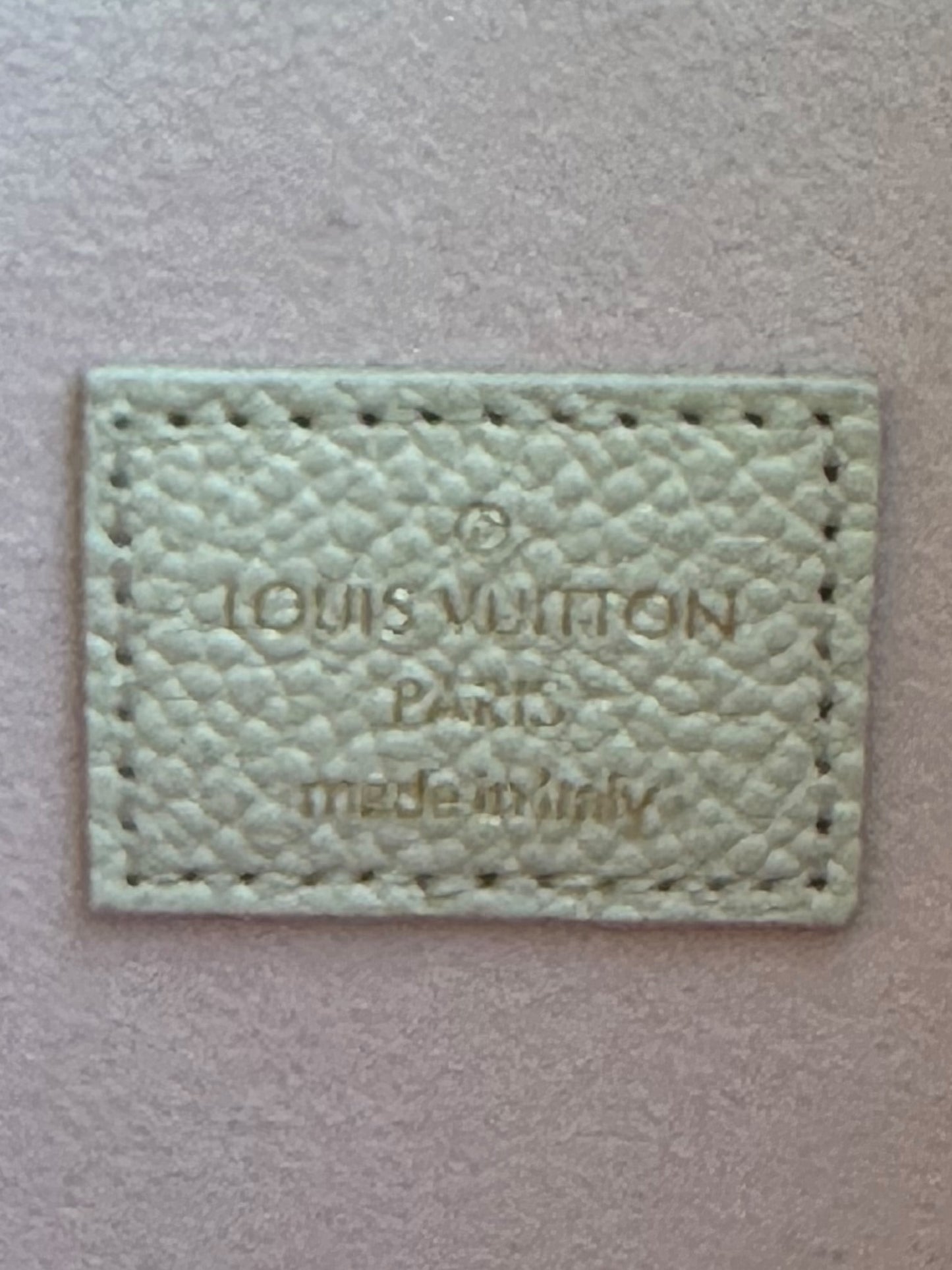 Louis Vuitton Beige & Pink Empreinte Spring In The City Monogram Pochette Felicie