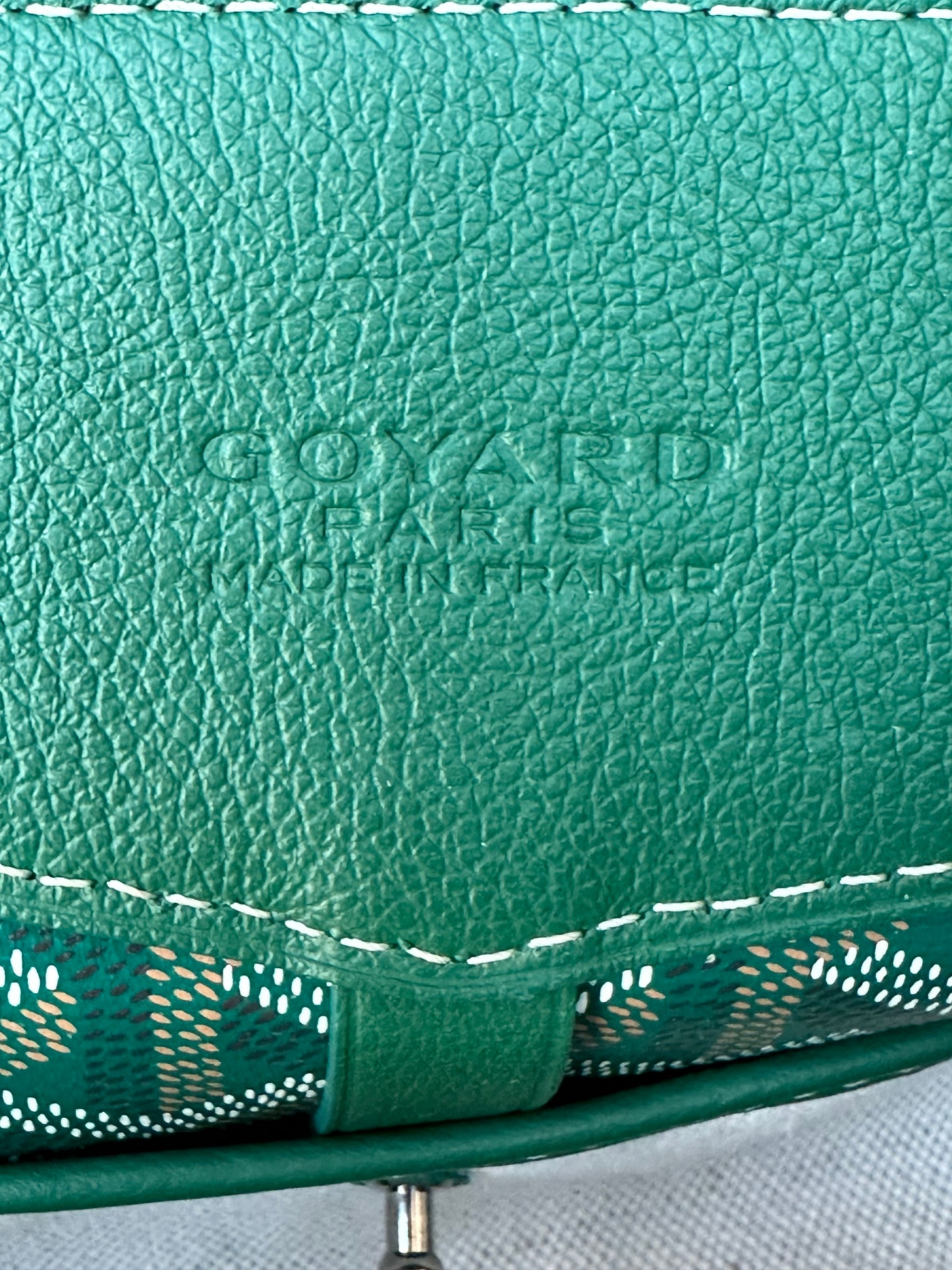 Goyard Green Cisalpin Backpack