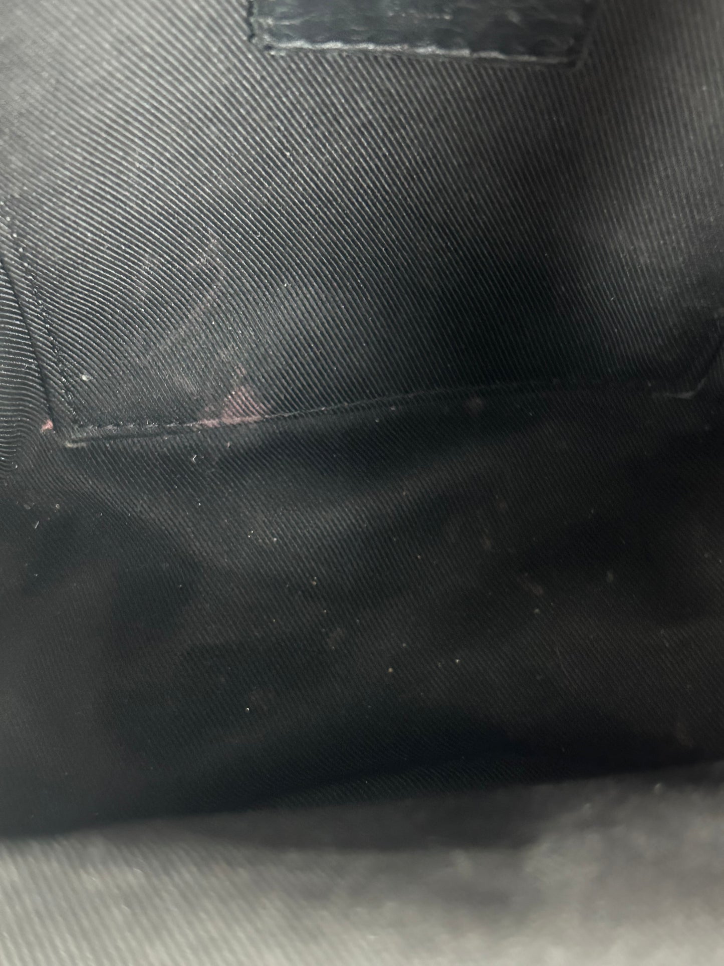 Louis Vuitton Brown Monogram Palm Springs Mini