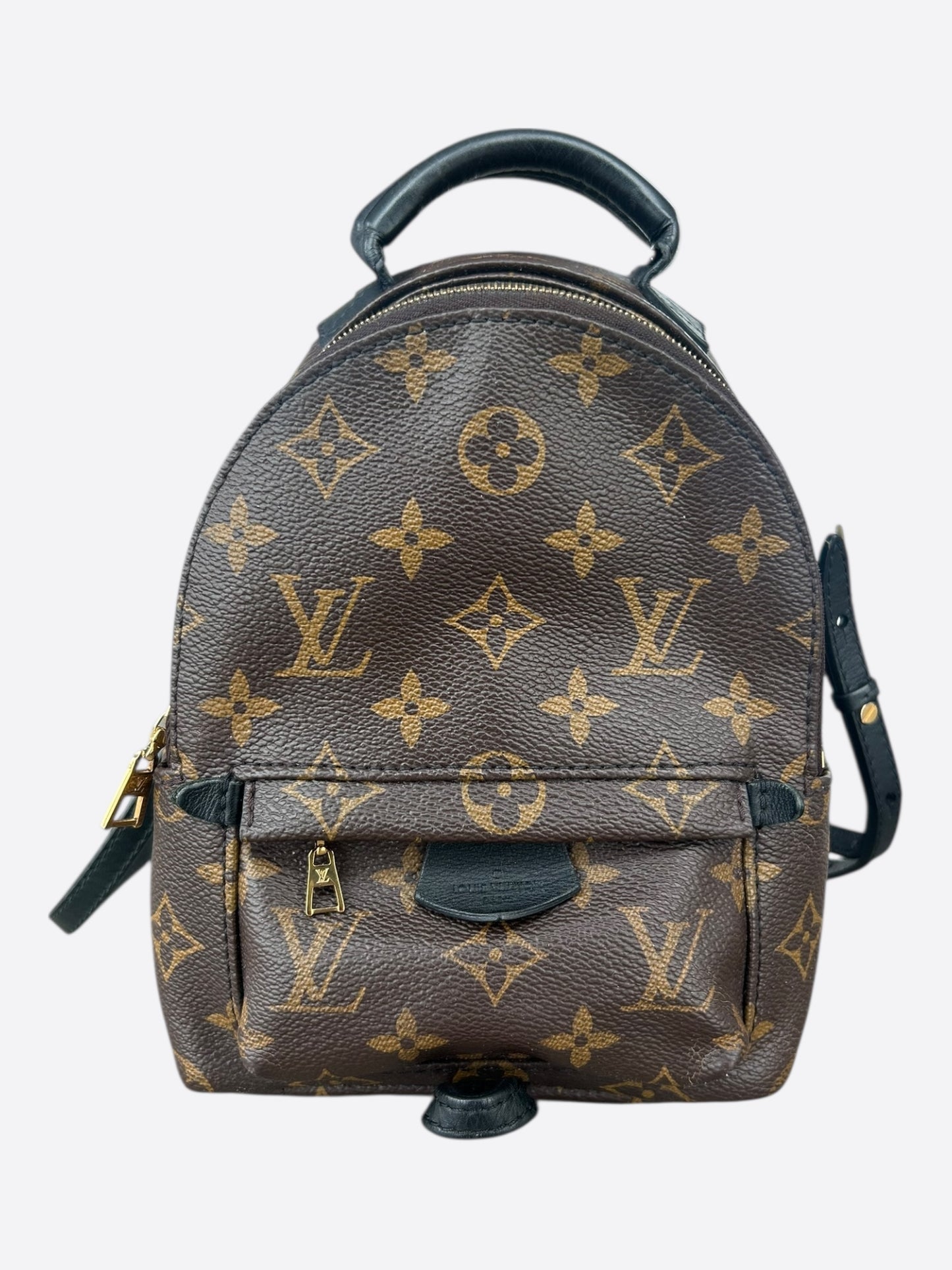 Louis Vuitton Brown Monogram Palm Springs Mini
