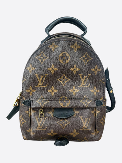 Louis Vuitton Brown Monogram Palm Springs Mini