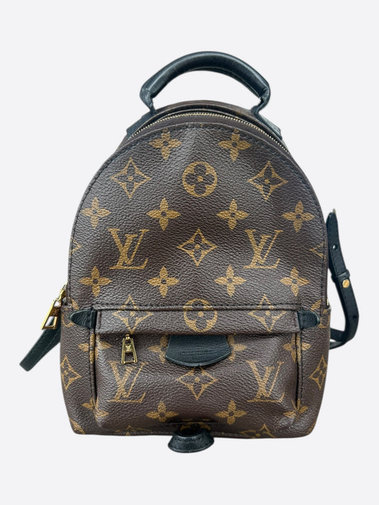 Louis Vuitton Brown Monogram Palm Springs Mini