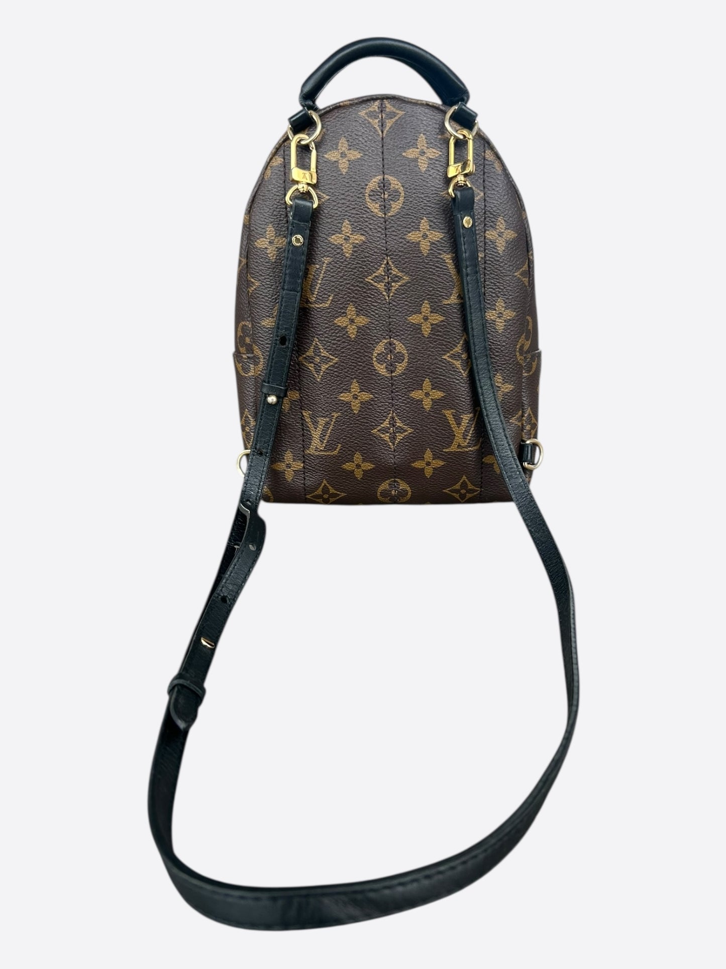 Louis Vuitton Brown Monogram Palm Springs Mini