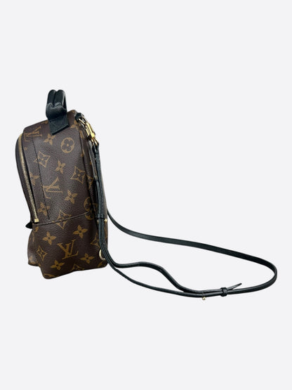 Louis Vuitton Brown Monogram Palm Springs Mini