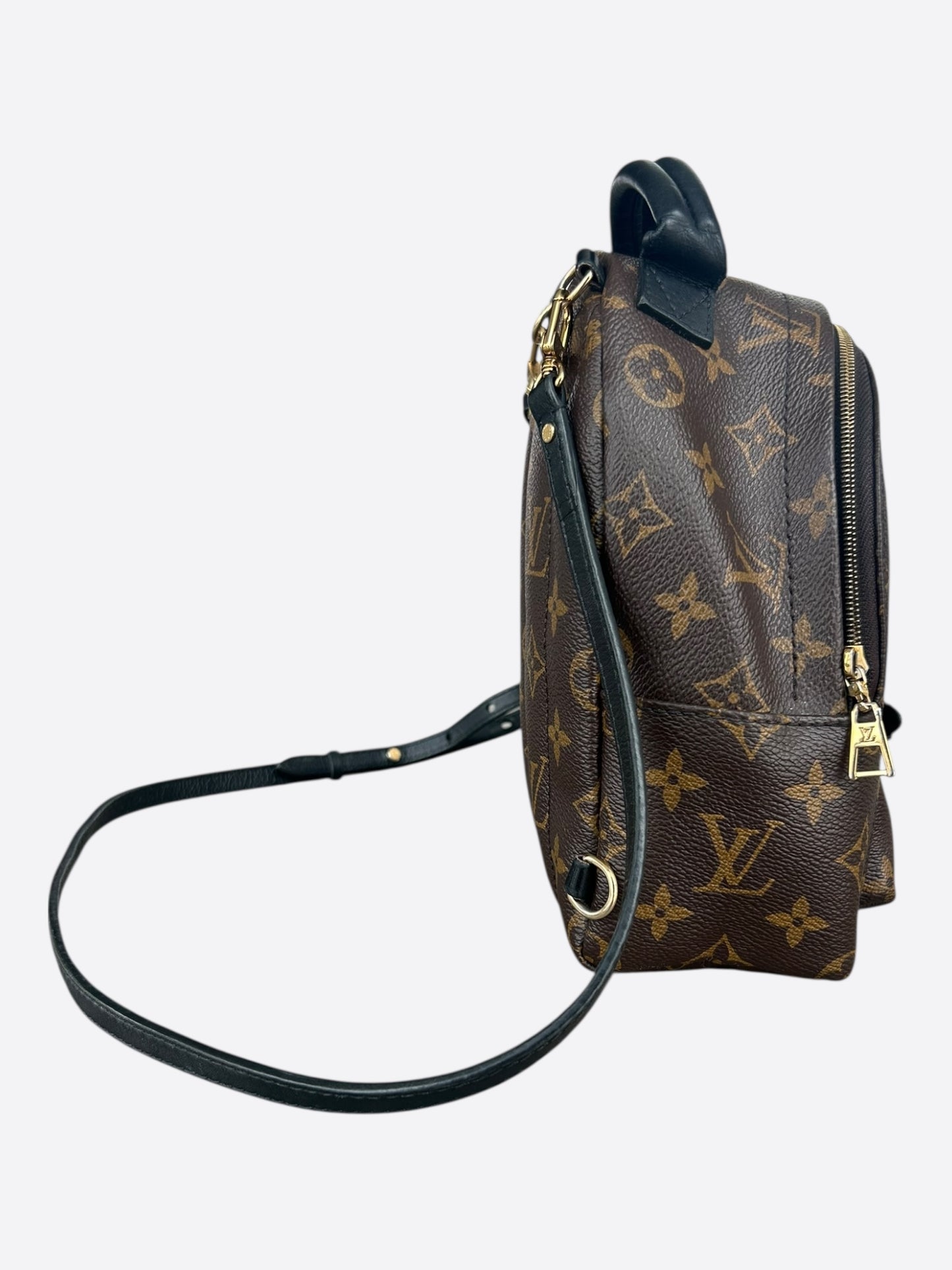 Louis Vuitton Brown Monogram Palm Springs Mini