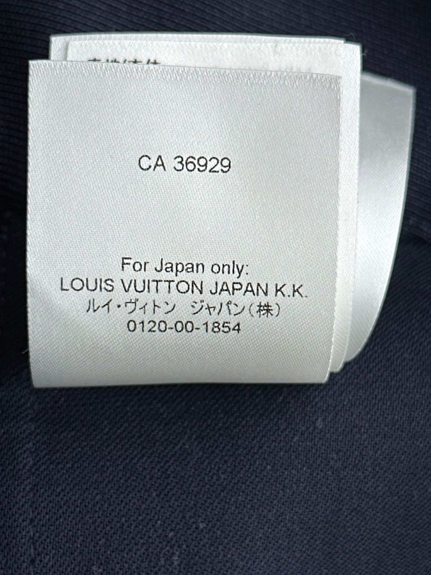 Louis Vuitton Navy Cargo Pants