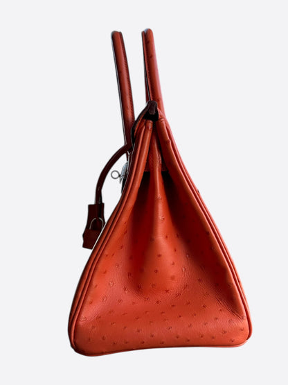 Hermes Orange Ostrich Birkin 30