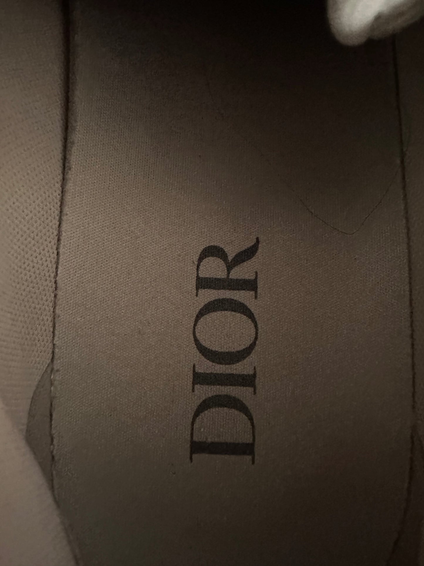 Dior Grey & Blue B22 Sneakers