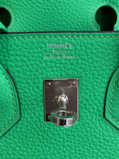 Hermes Vert Comics Togo & Palladium Hardware Birkin 25