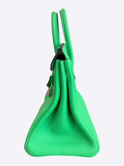 Hermes Vert Comics Togo & Palladium Hardware Birkin 25