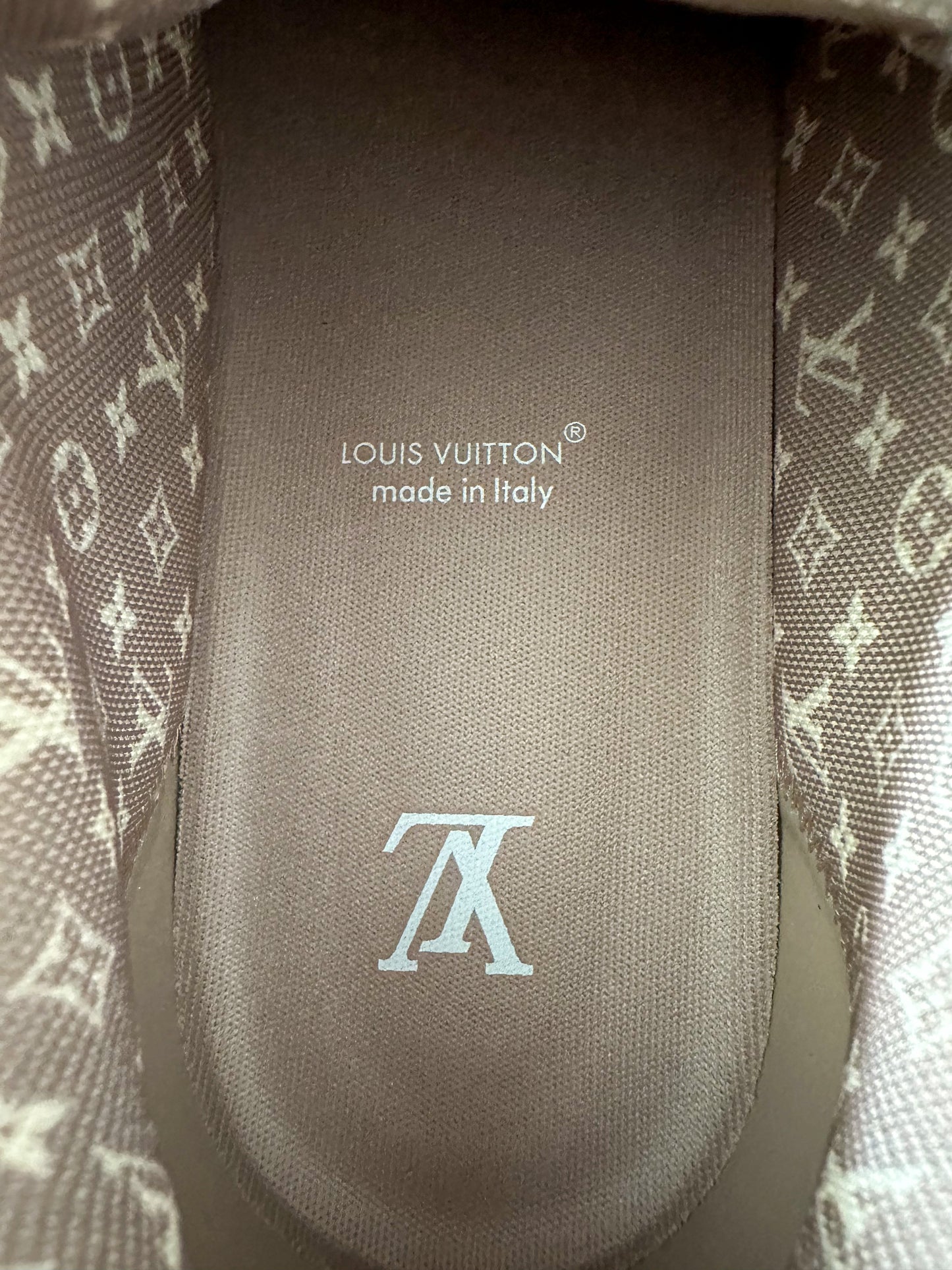 Louis Vuitton Brown & White Skate Trainers