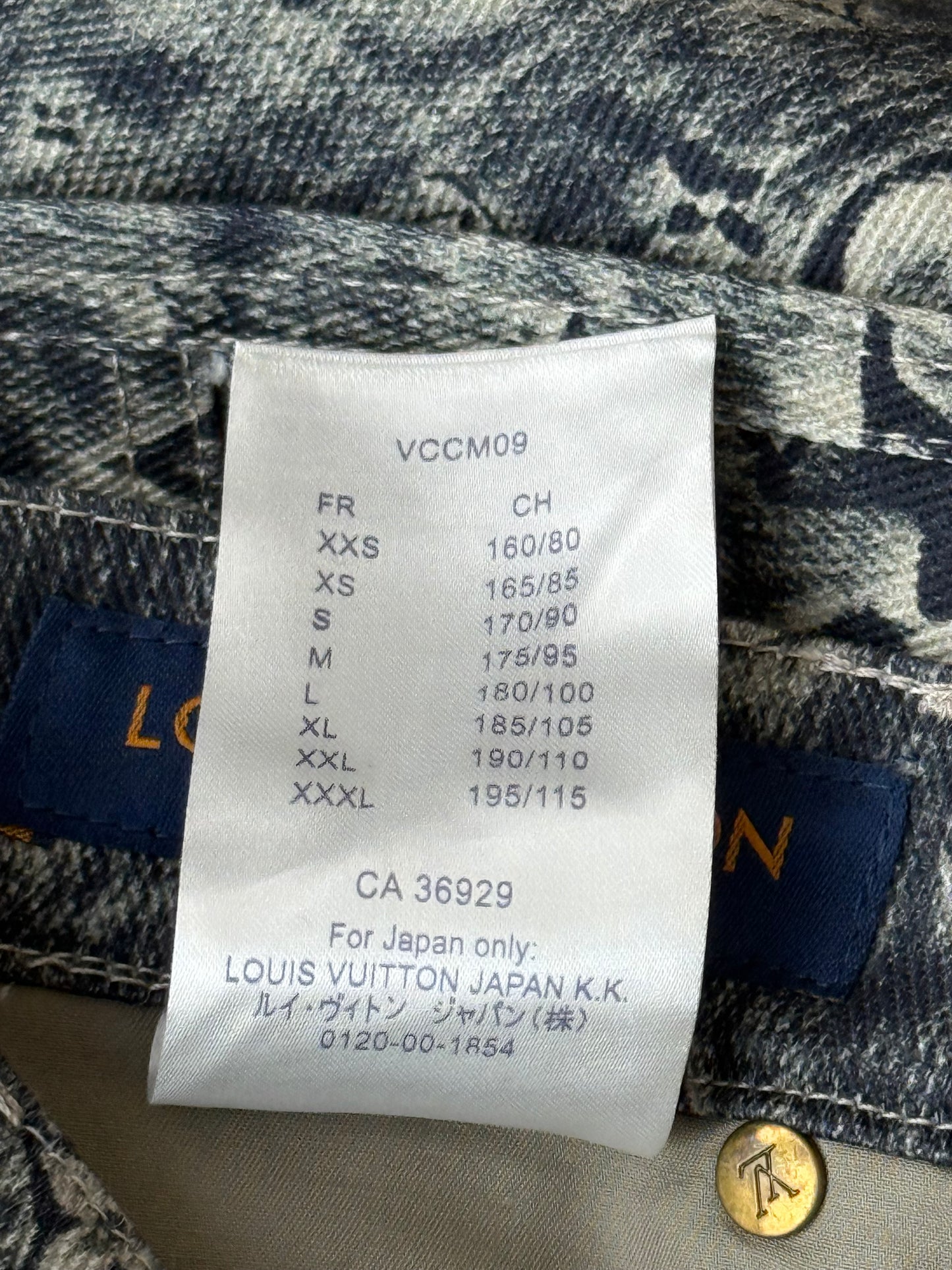 Louis Vuitton Dark Blue Star Monogram Cargo Pants