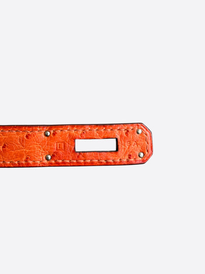 Hermes Orange Ostrich & Palladium Hardware Birkin 30