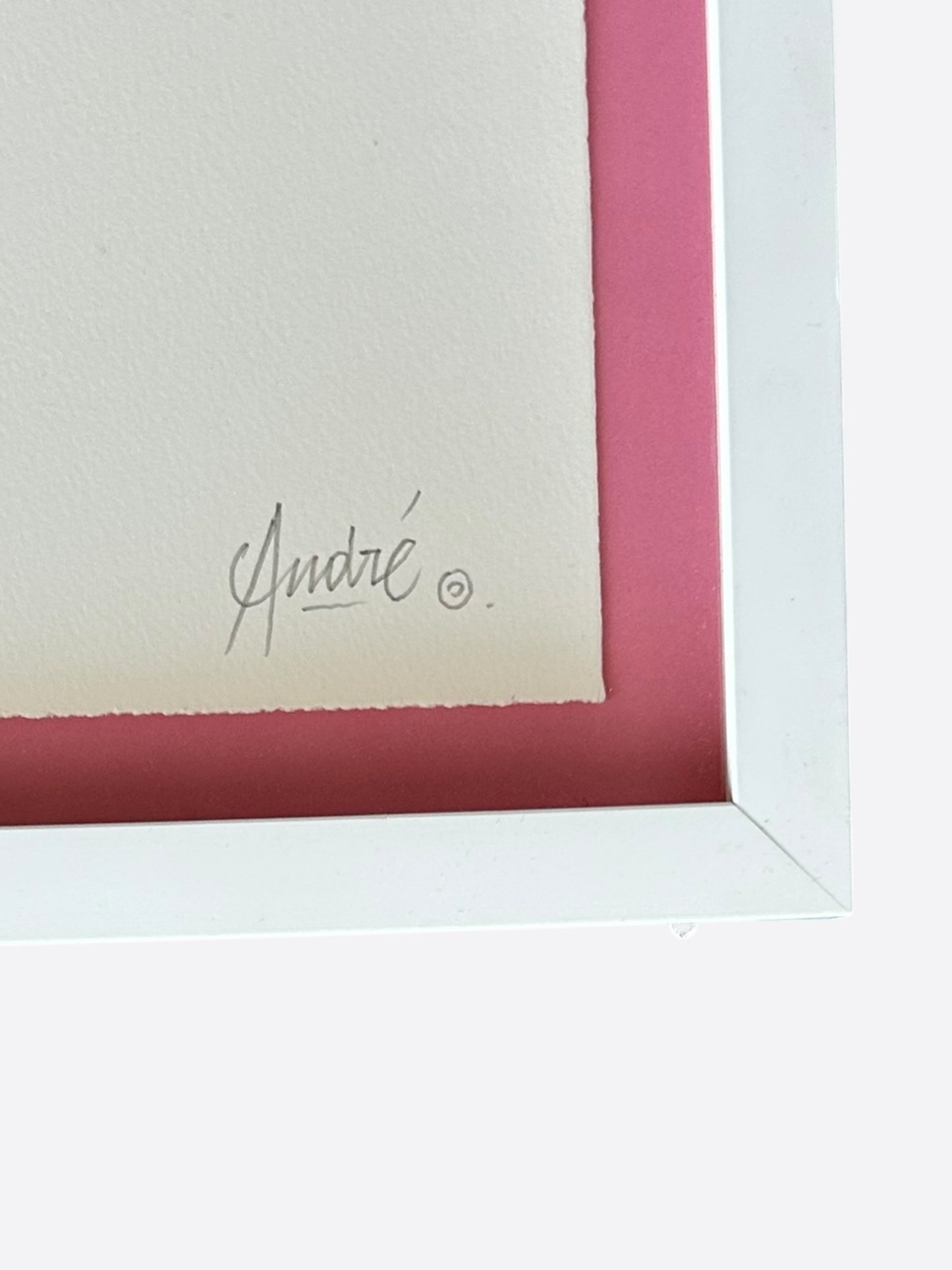 Andre Saraiva Pink "Mr A" Painting