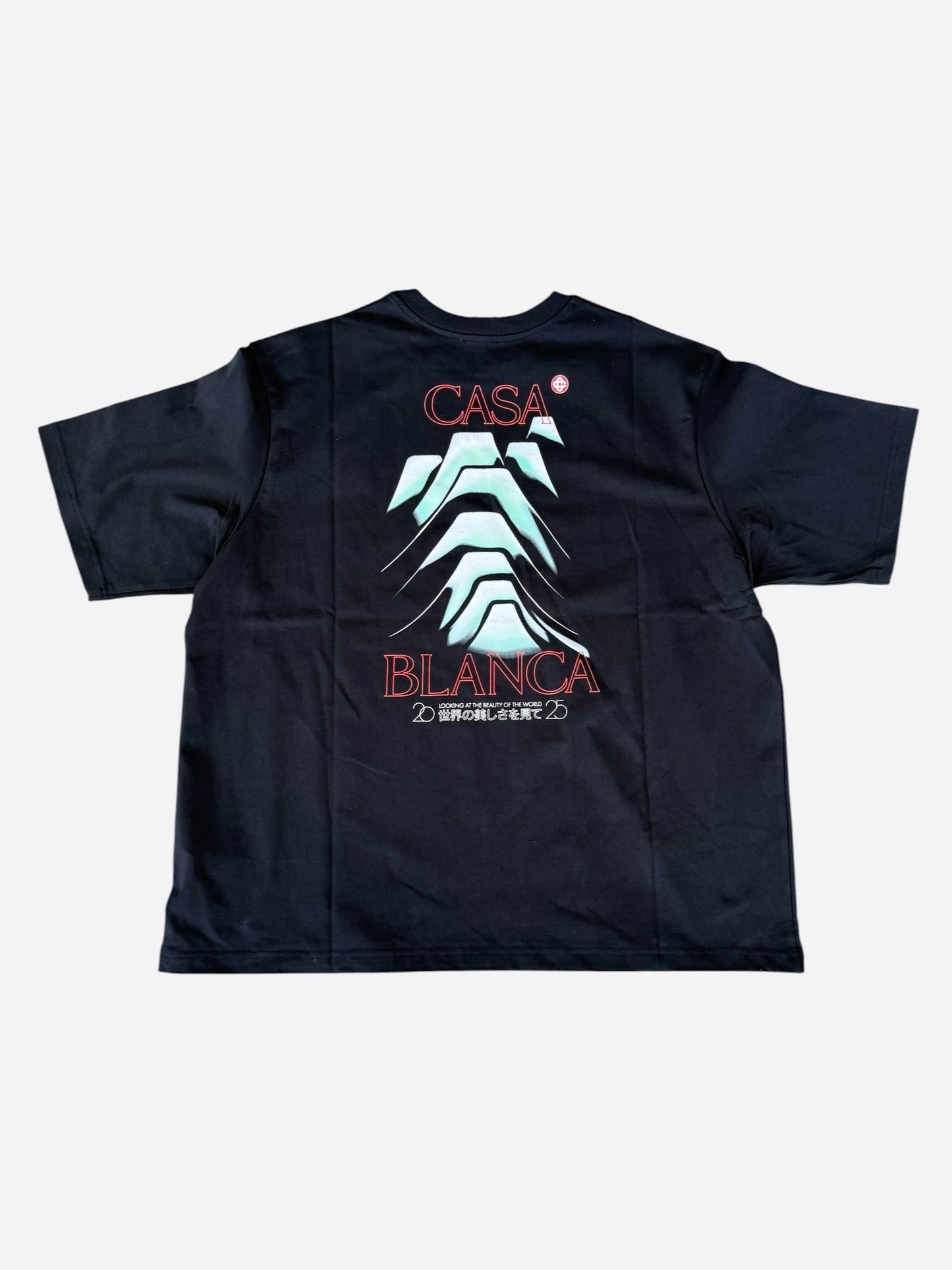 Casablanca Black & Multicolor Frosty Mountain Graphic T-Shirt
