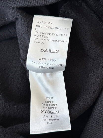 Dior Daniel Arsham Black Logo Hoodie