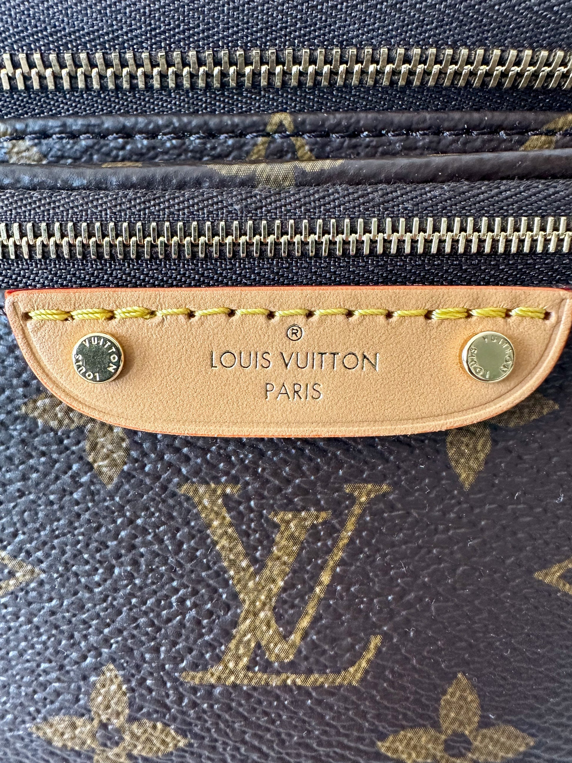 Louis Vuitton Mini Bumbag Monogram