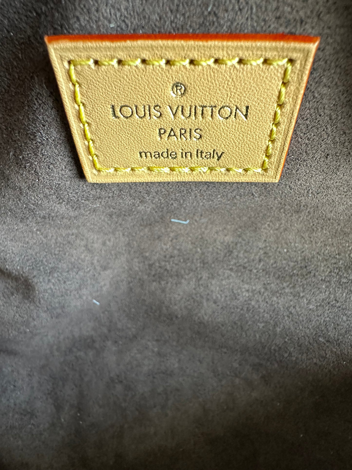 Louis Vuitton Brown Monogram Mini Bumbag – Savonches