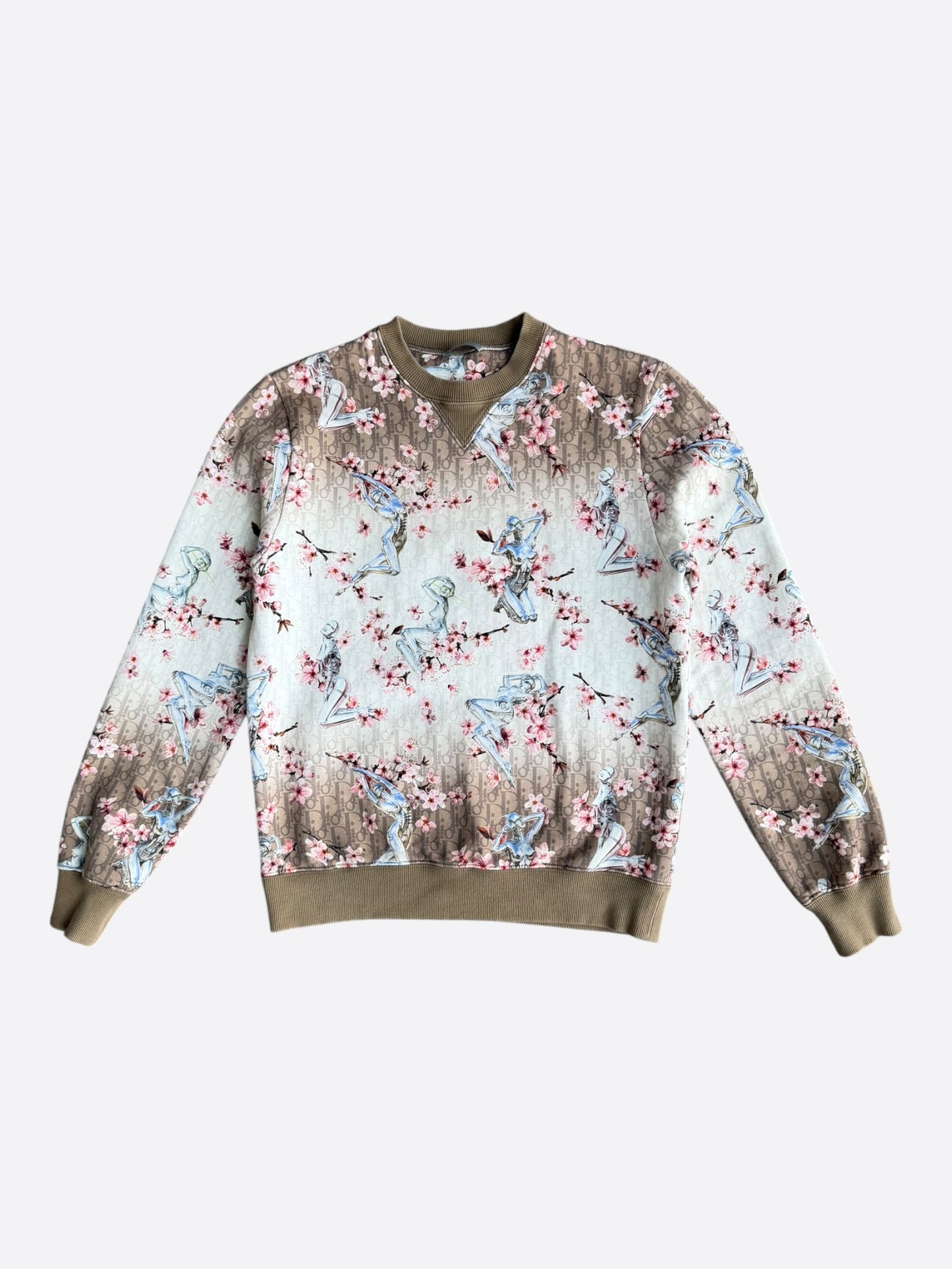Dior Sorayama Brown Oblique Sweater