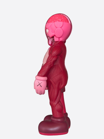 Kaws Blush Open Edition Flayed Companion