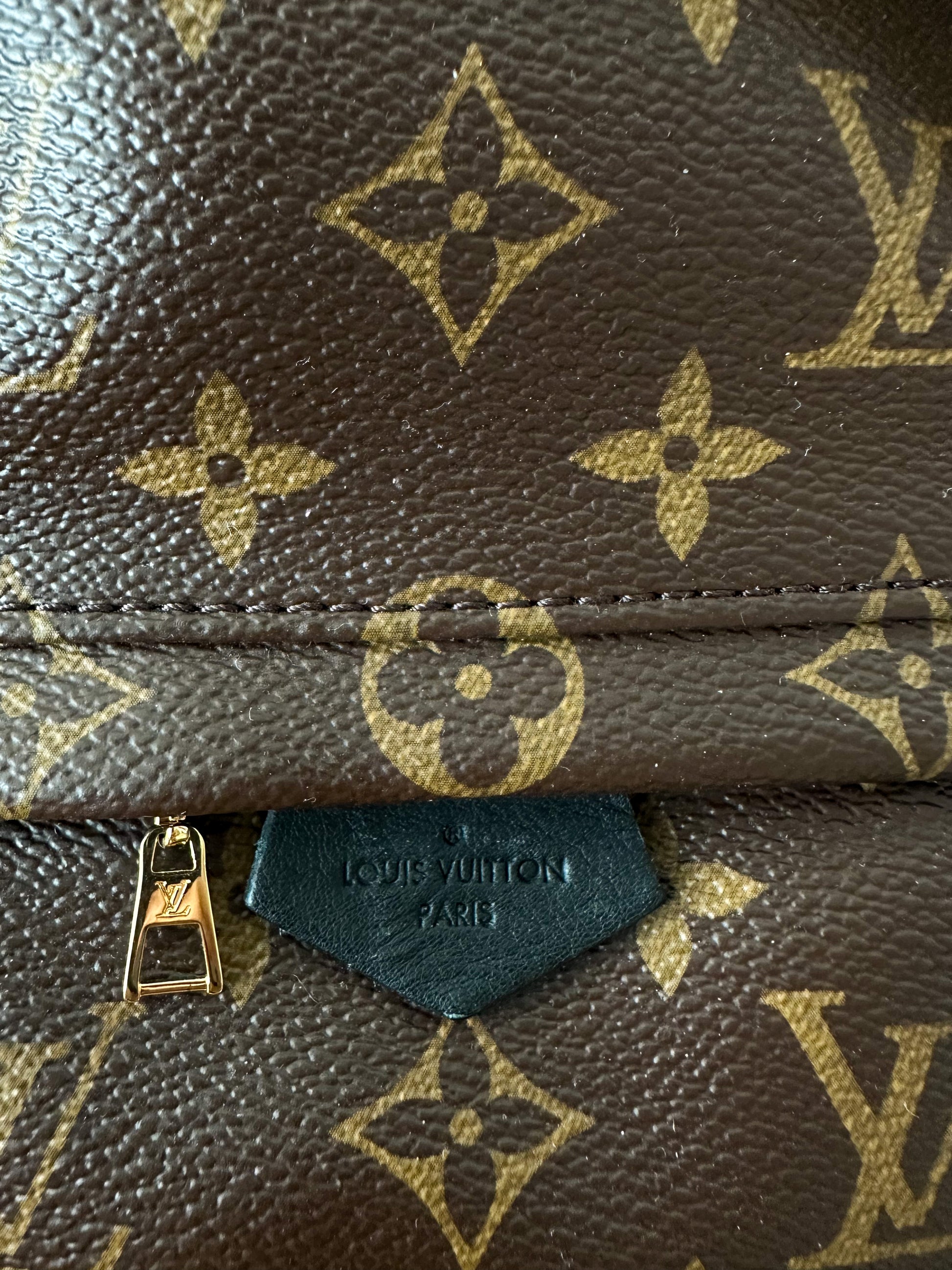Louis Vuitton Palm Springs Mini backpack Brown Cloth ref.762481