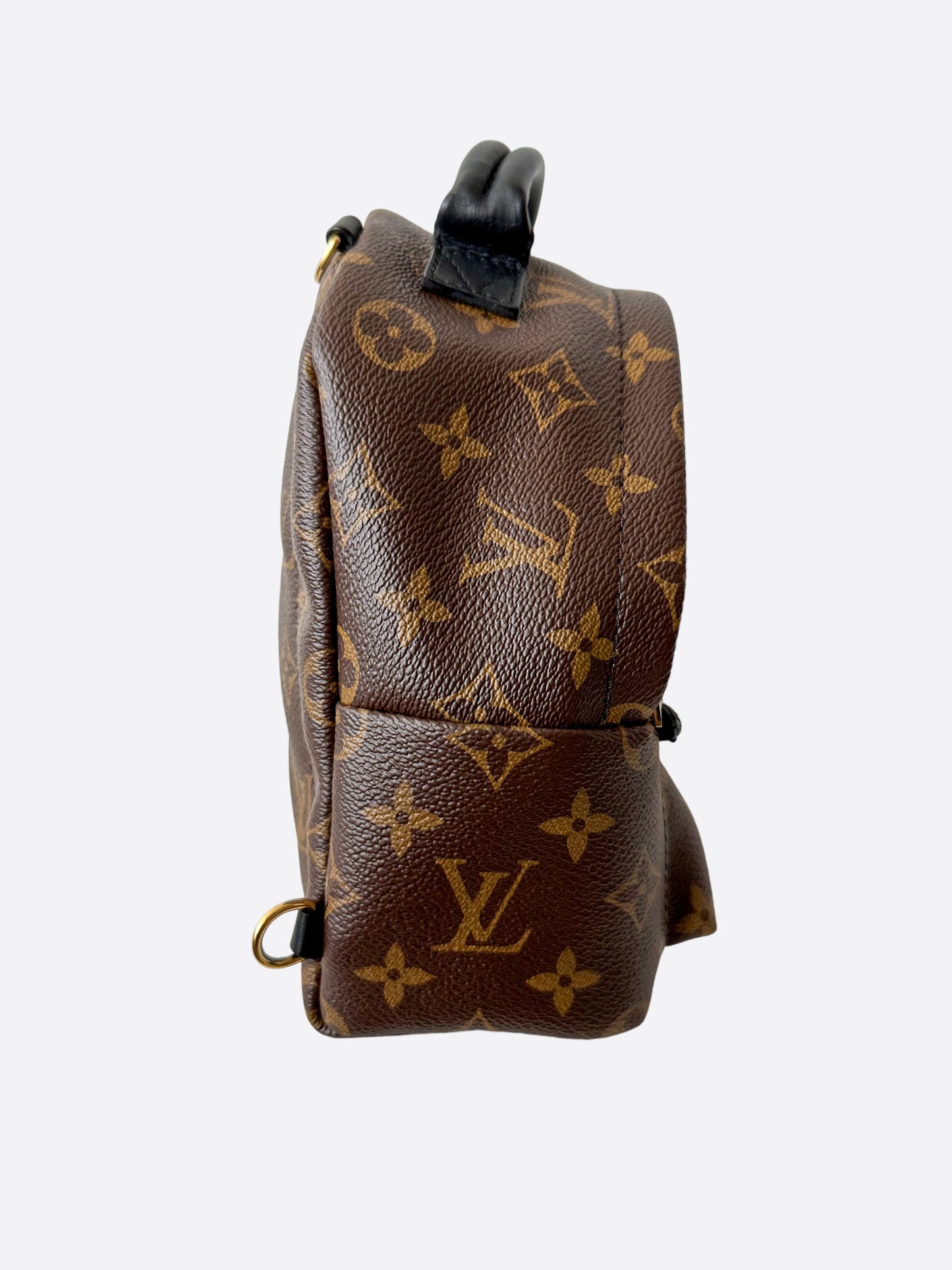 Louis Vuitton Palm Springs Backpack Mini Rucksack(Brown)