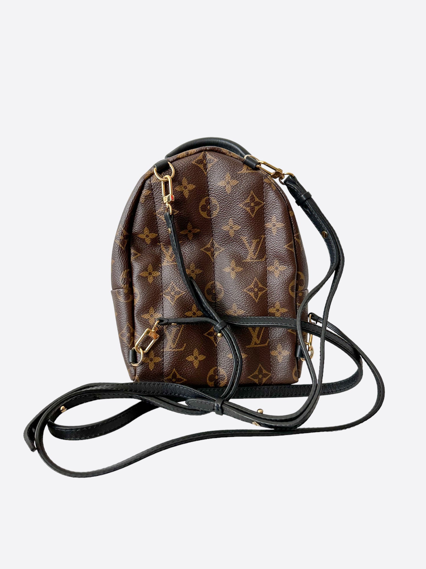 Palm springs backpack Louis Vuitton Brown in Polyester - 37530363