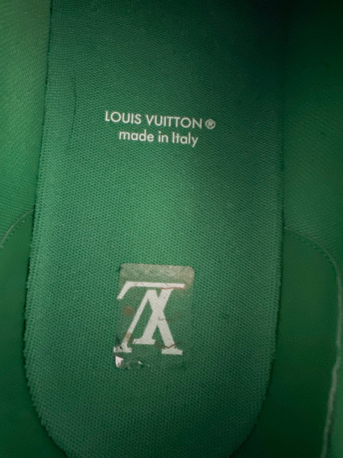 Louis Vuitton Green & Grey EPI Leather Trainers