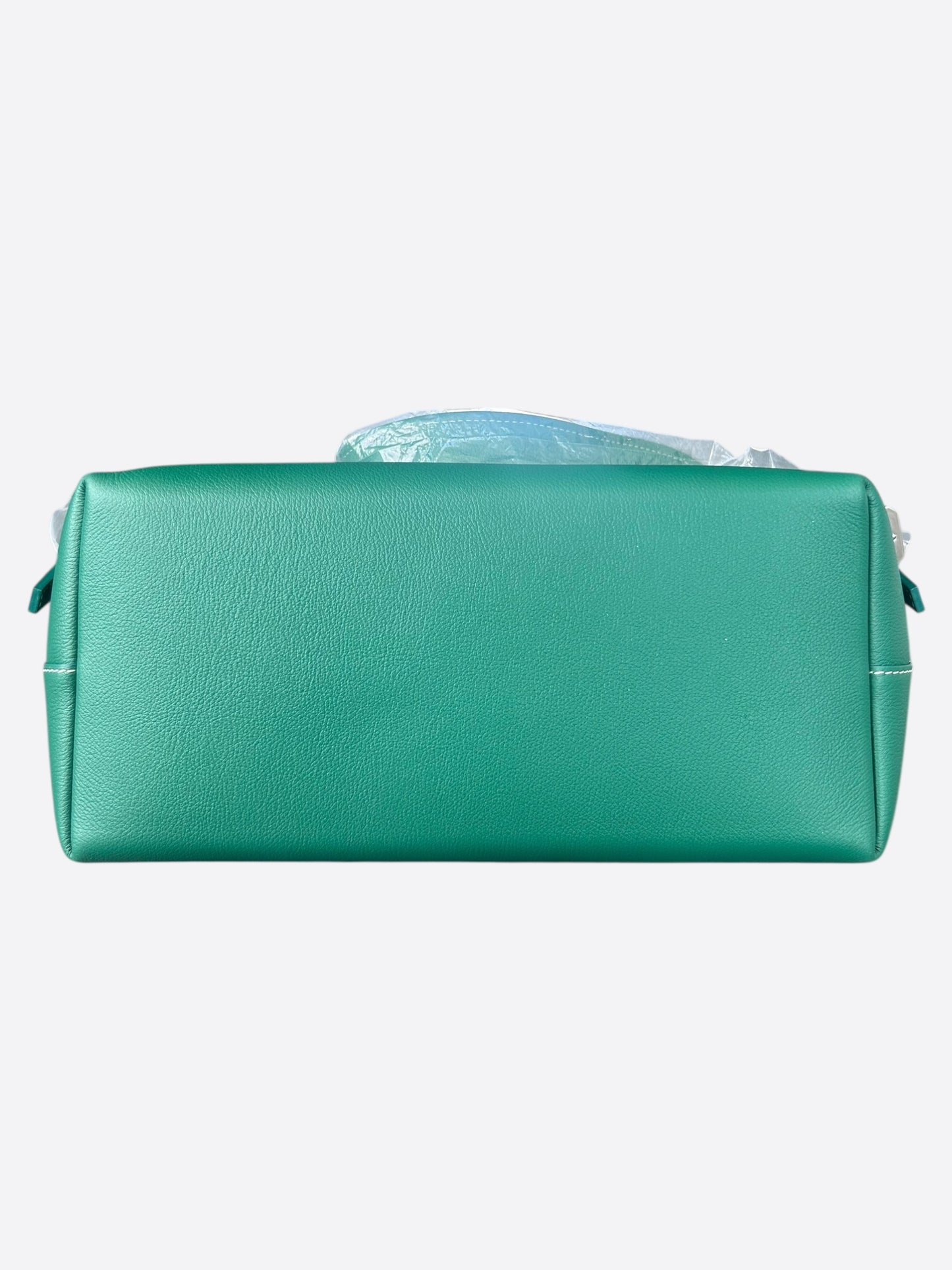 Goyard Green Cisalpin Backpack
