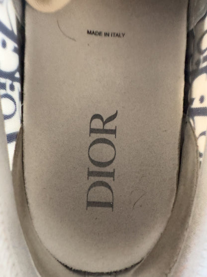 Dior Blue & White Oblique Lowtop B23 Sneakers