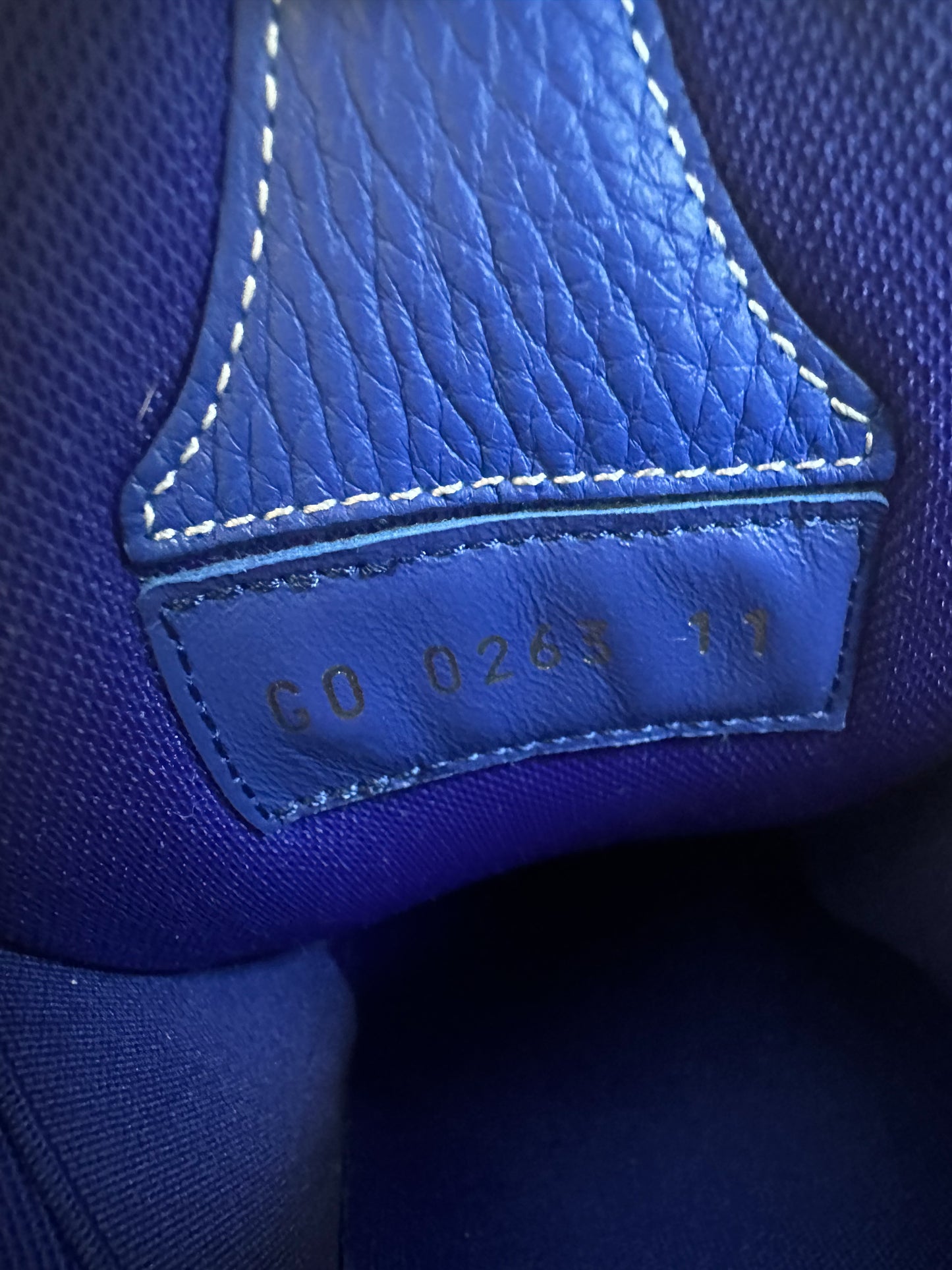 Louis Vuitton Blue Skate Trainers