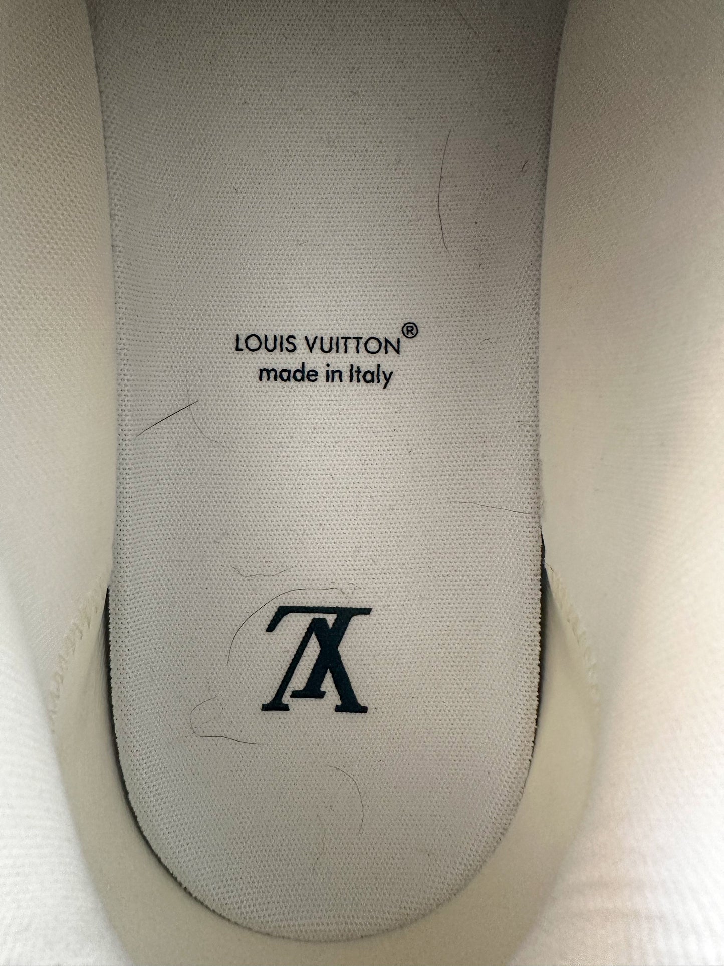 Louis Vuitton Navy & White Skate Trainers