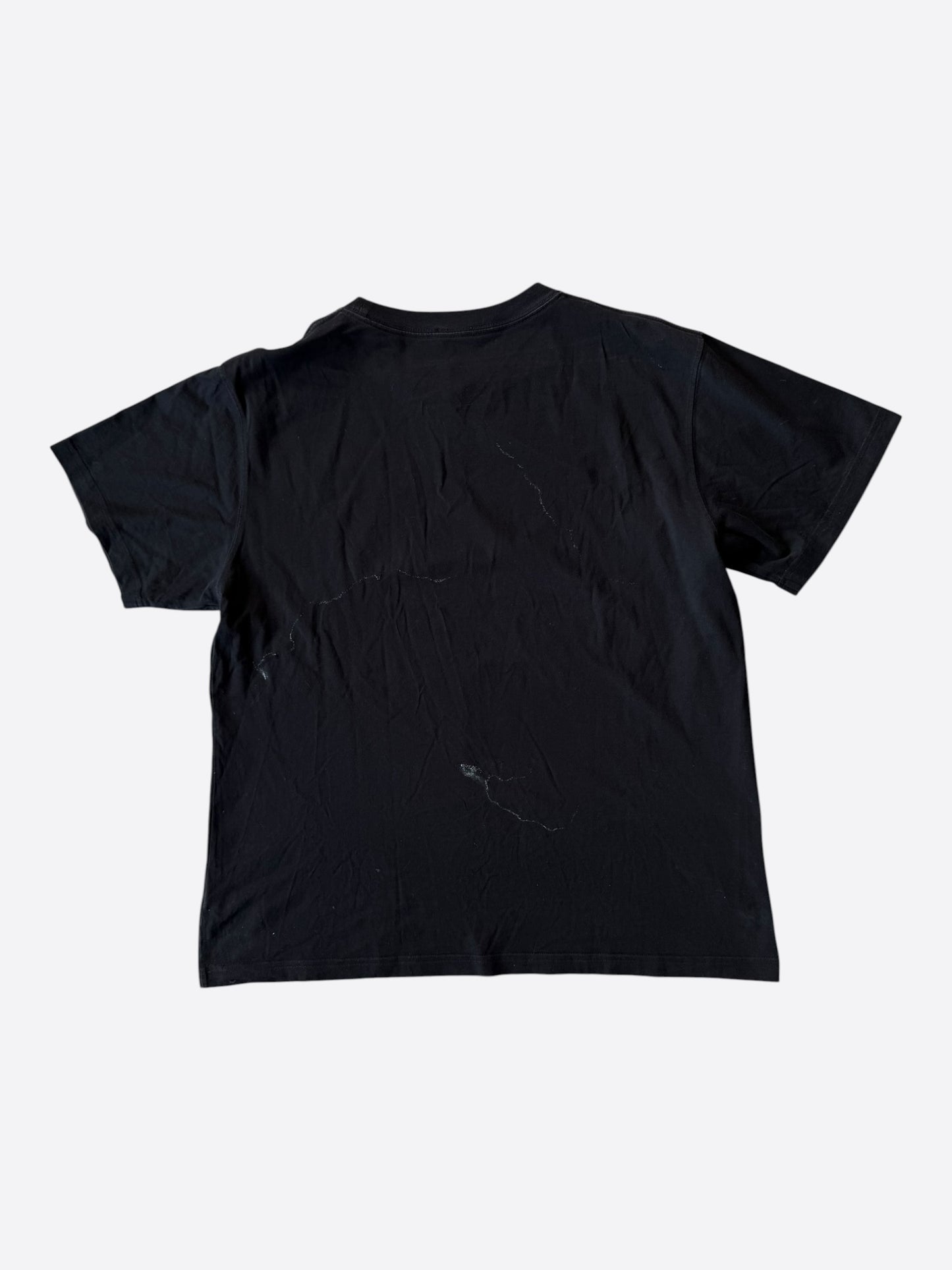 Dior Peter Doig Black & White Logo T-Shirt