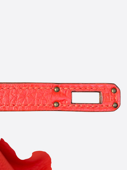 Hermes Red Togo & Gold Hardware Birkin 25