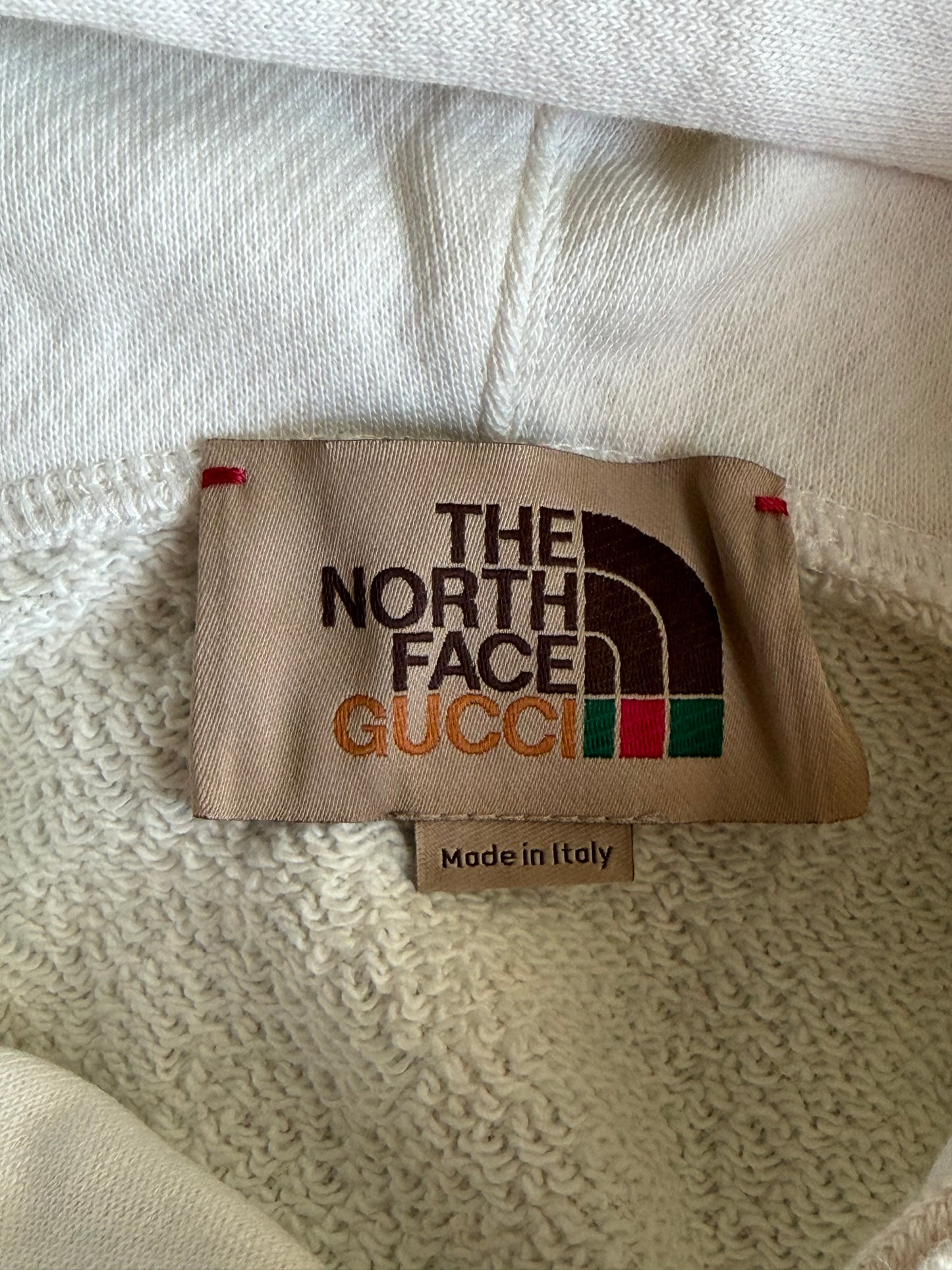 Gucci The North Face Mountain Graphic Hoodie