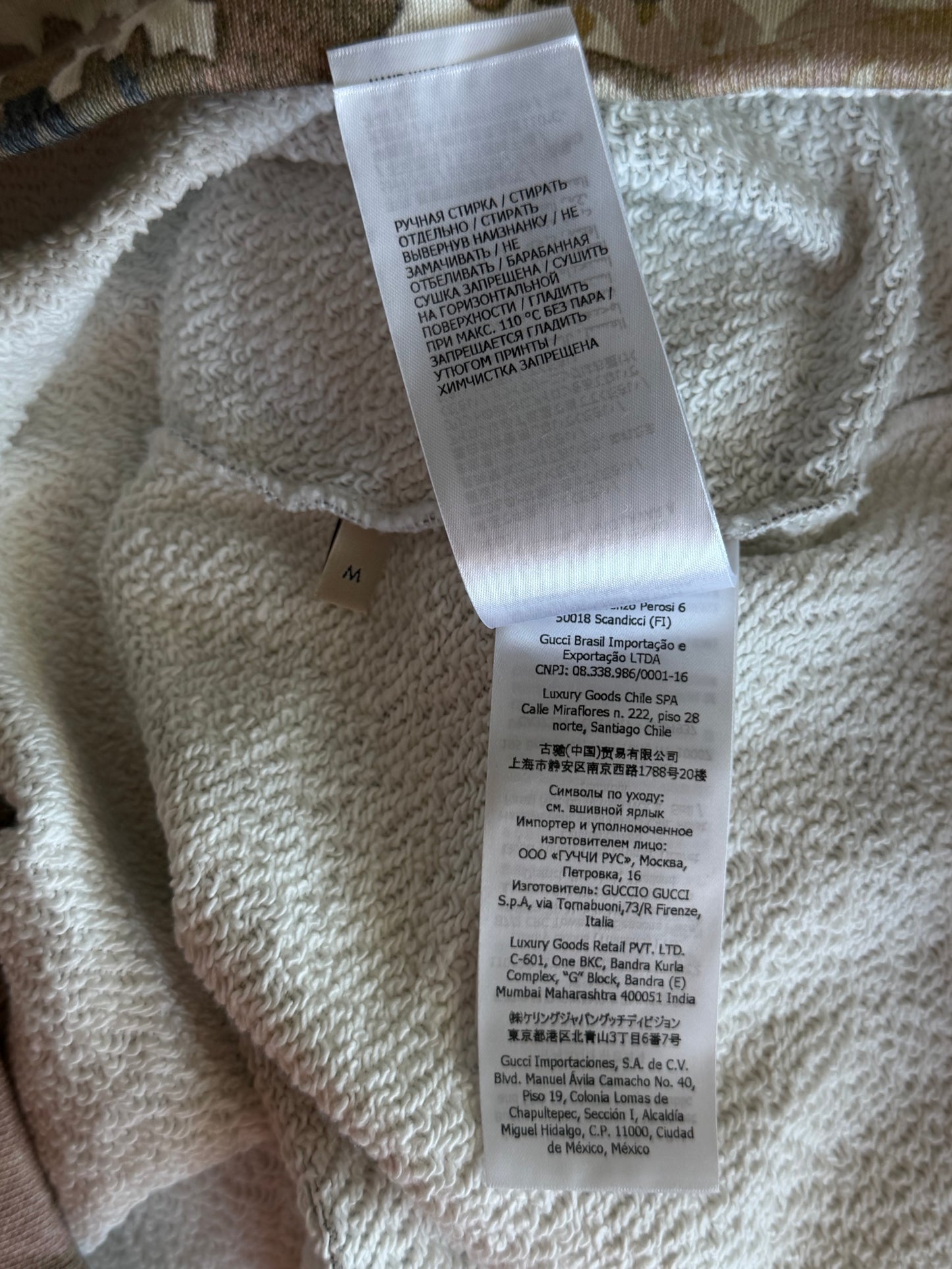 Gucci The North Face Mountain Graphic Hoodie
