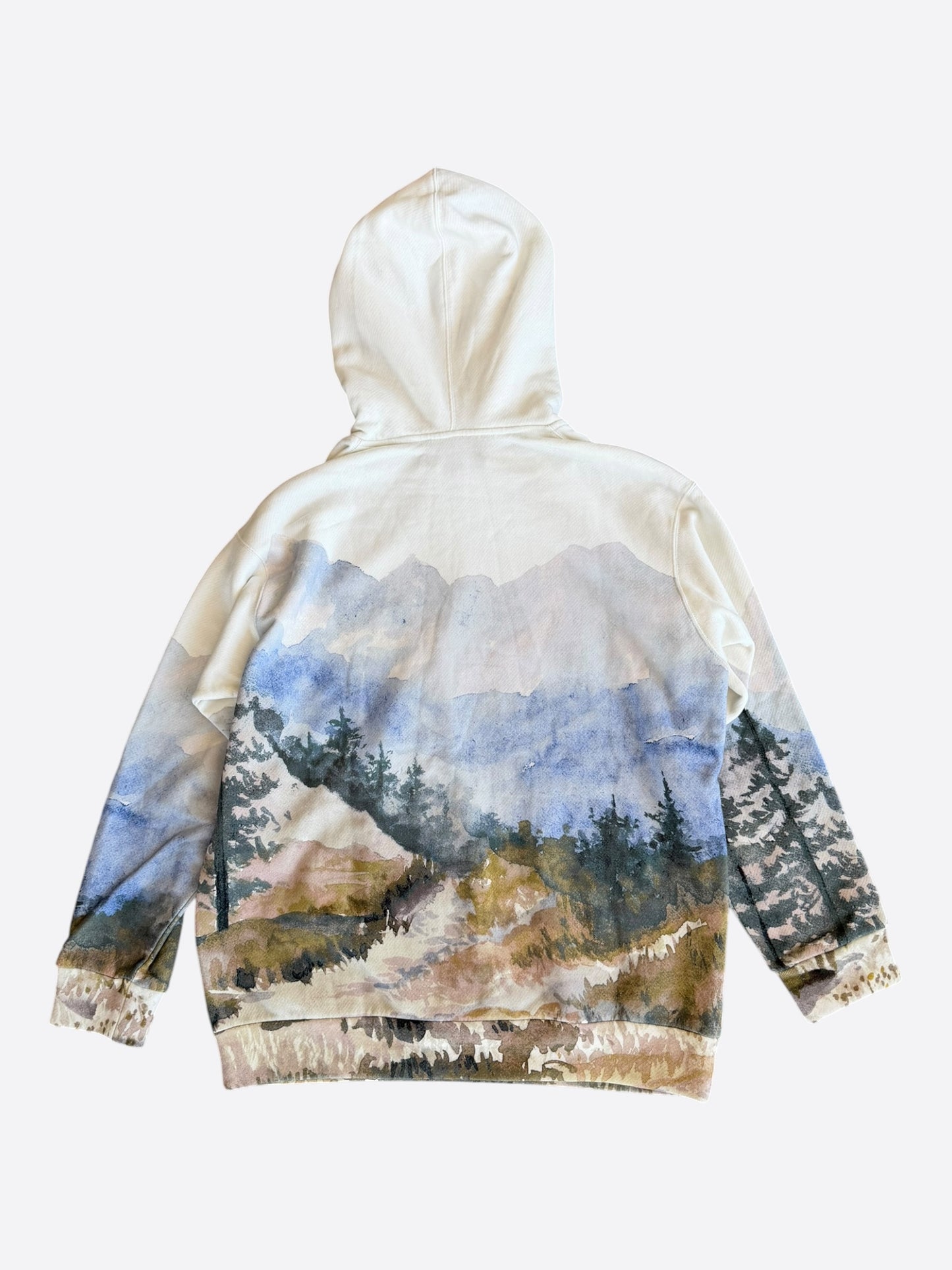 Gucci The North Face Mountain Graphic Hoodie