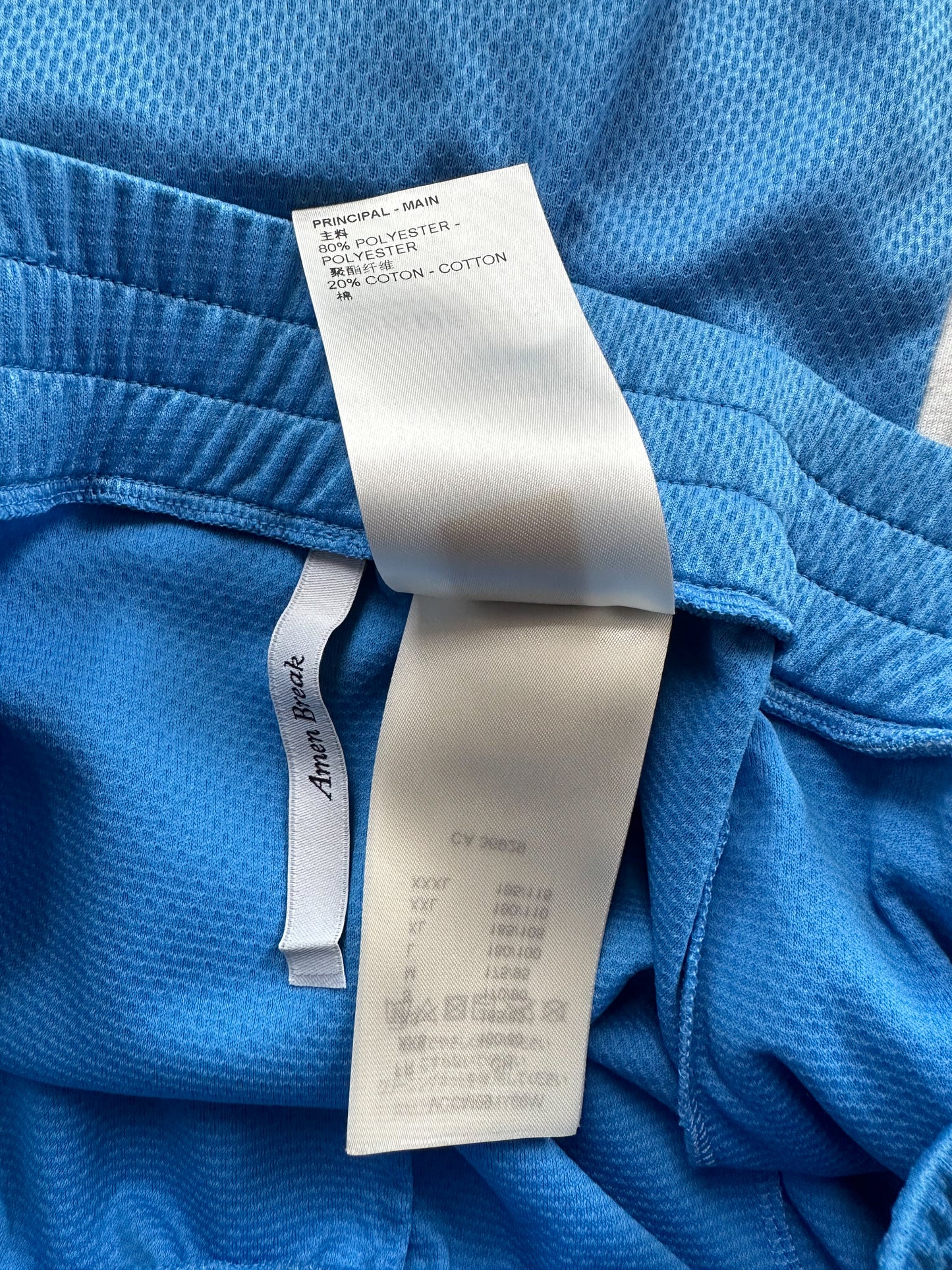 Louis Vuitton Blue Lightning Logo Shorts