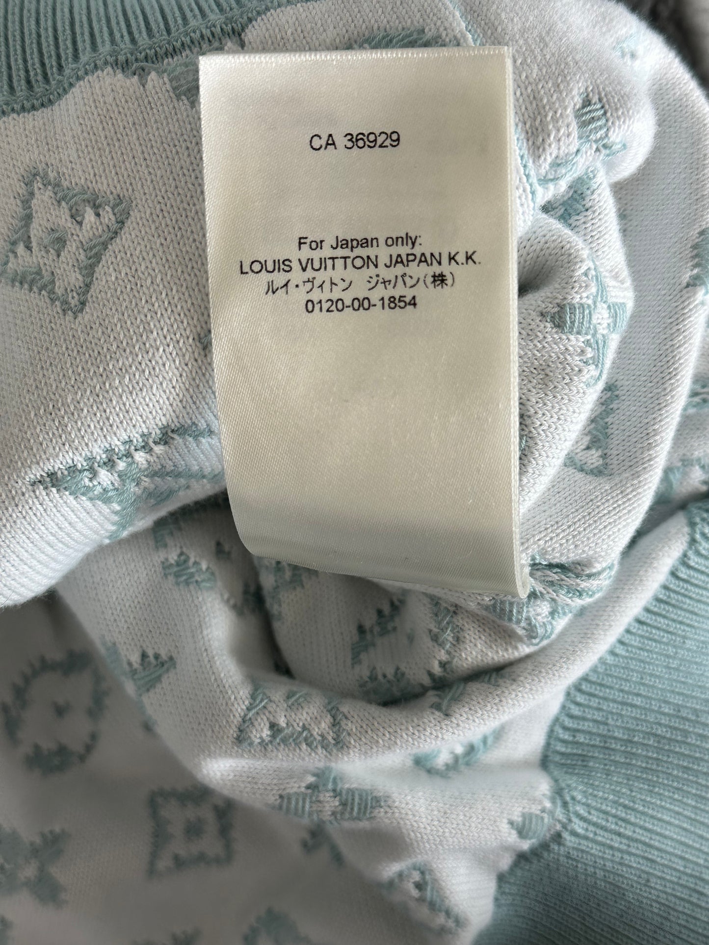 Louis Vuitton Blue & White Gradient Monogram Hoodie