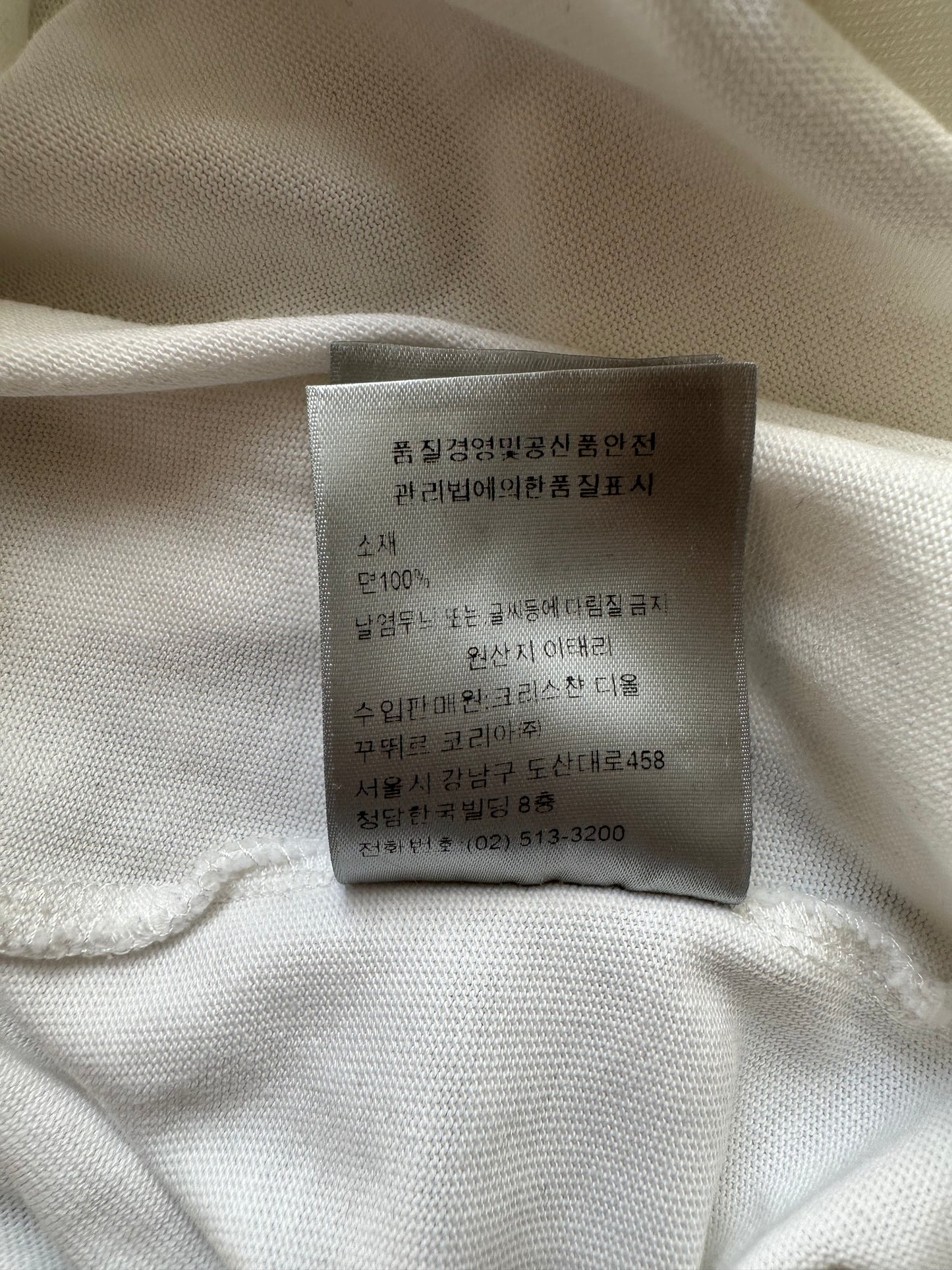 Dior Daniel Arsham White & Blue Logo T-Shirt