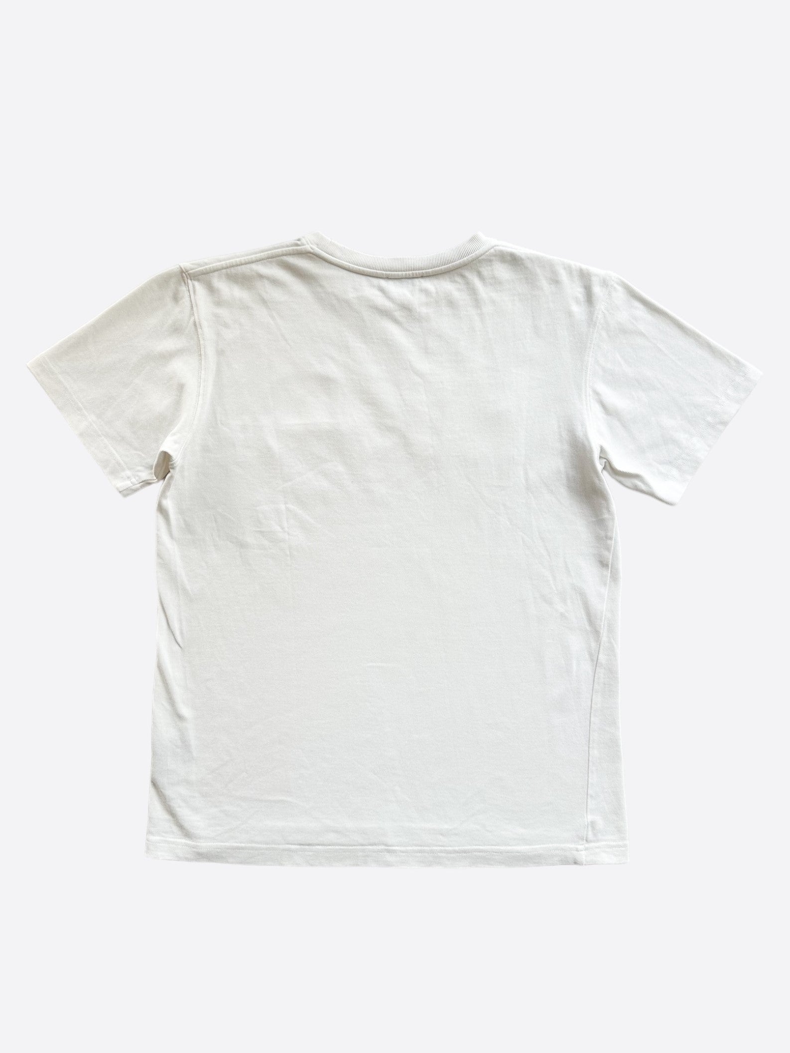 Dior Daniel Arsham White & Blue Logo T-Shirt