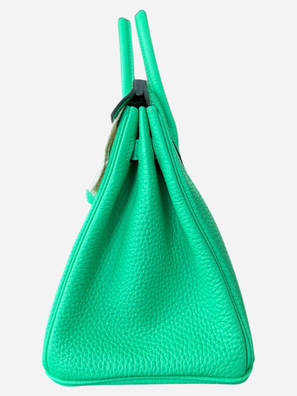 Hermes Vert Comics Togo Birkin 25