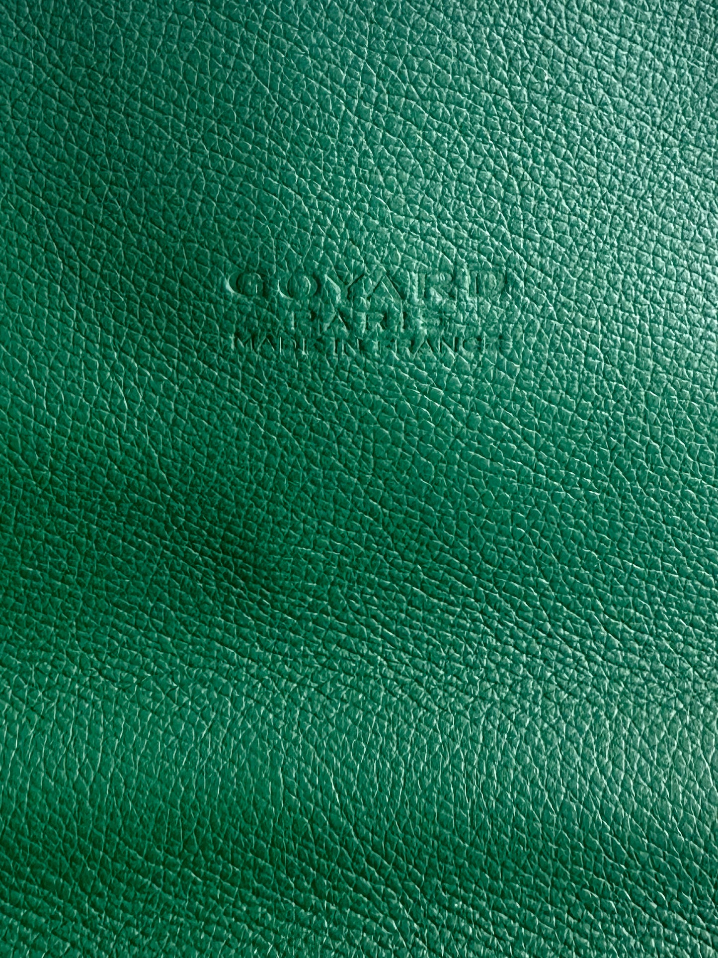 Goyard Green Saint Leger Backpack