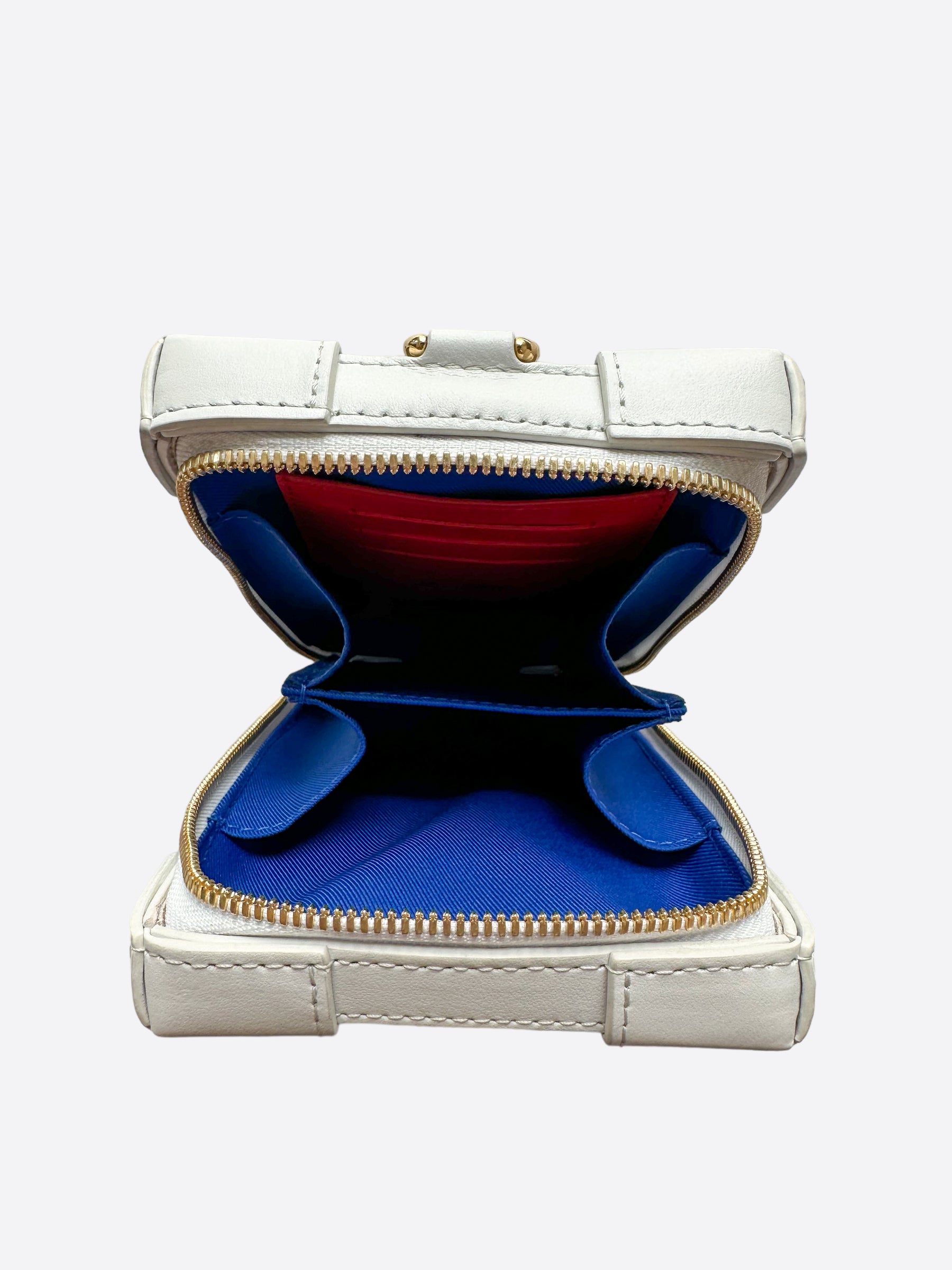 Louis Vuitton x NBA Soft Trunk Phone Box Antartica in Coated