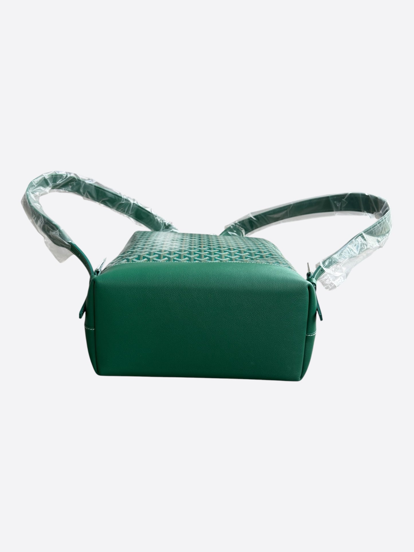 Goyard Green Cisalpin Backpack