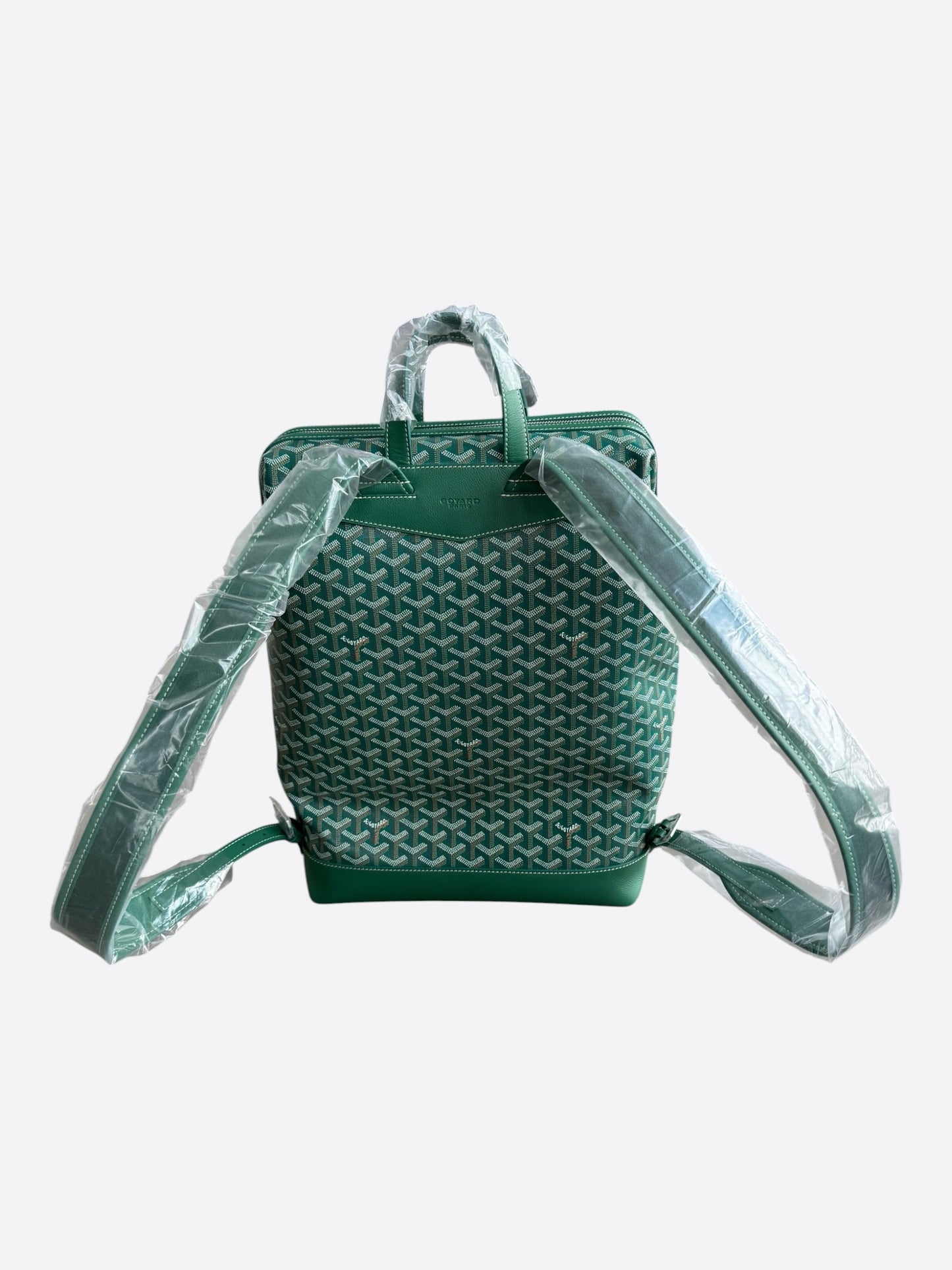 Goyard Green Cisalpin Backpack