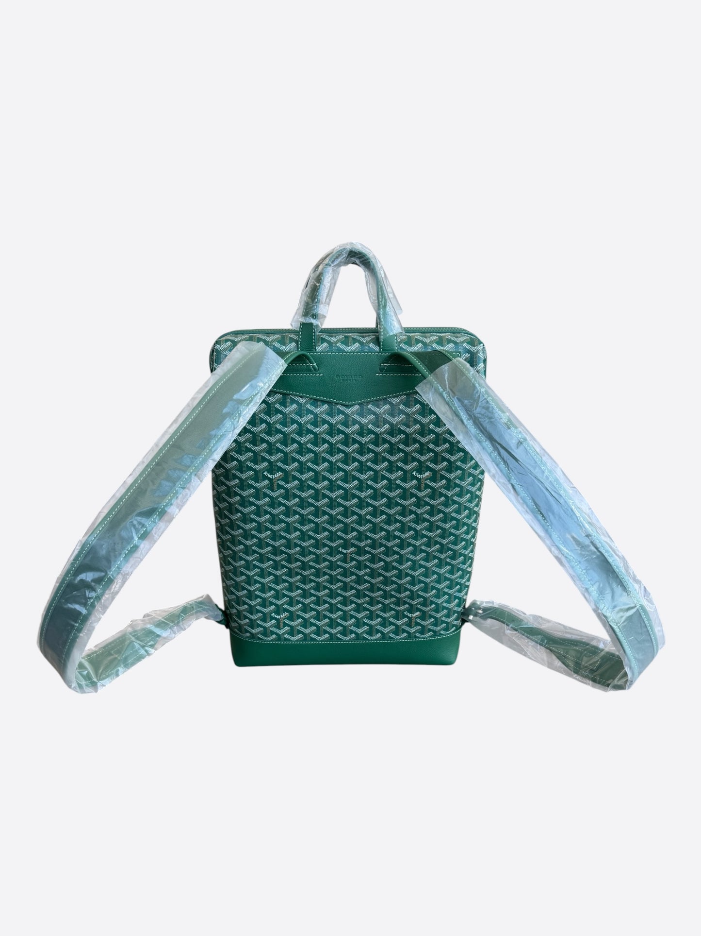 Goyard Green Cisalpin Backpack